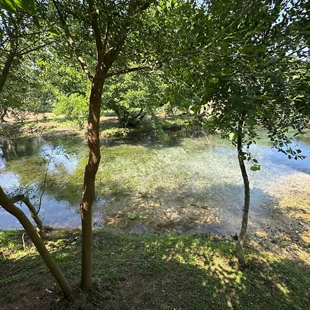 Riverside * Trajas
