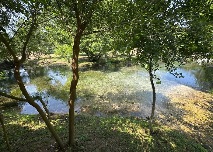Riverside * Trajas